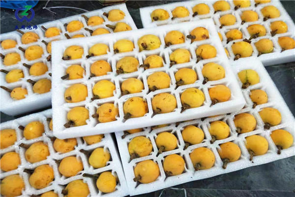 定做枇杷托的材料是環(huán)保的嗎？